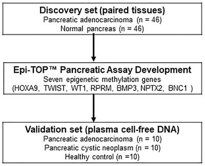 Novel diagnostic biomarkers for pancreatic cancer: assessing methylation status with epigenetic-specific peptide nucleic acid and KRAS mutation in cell-free DNA